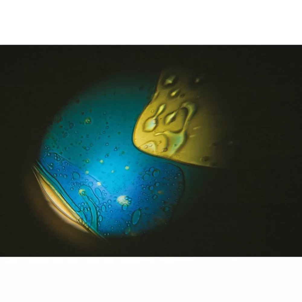 DISQUE DE DECOR SUPPLEMENTAIRE POUR PROJECTEUR DE L'ESPACE-HOPTOYS Best Sale